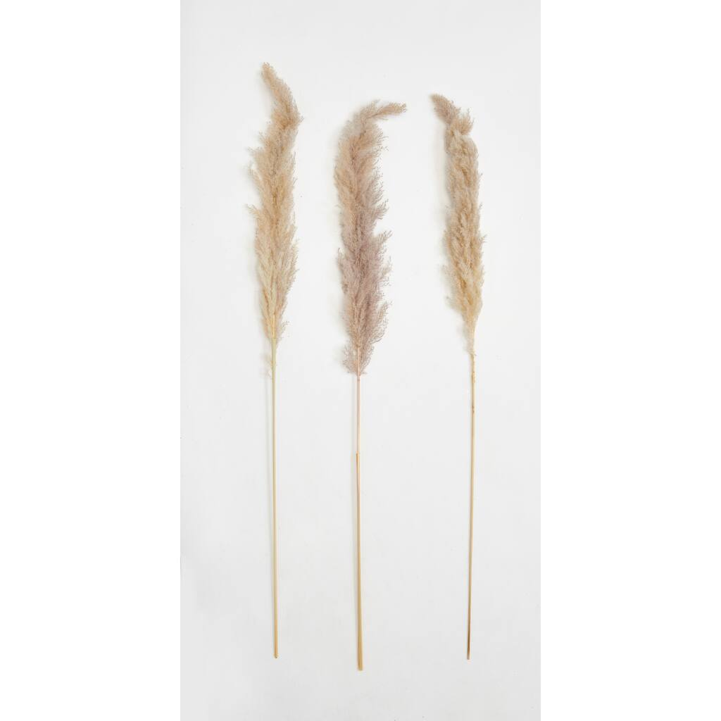 42" Tall Natural Glow Stick Pampas Grass, Set of 6 - 42