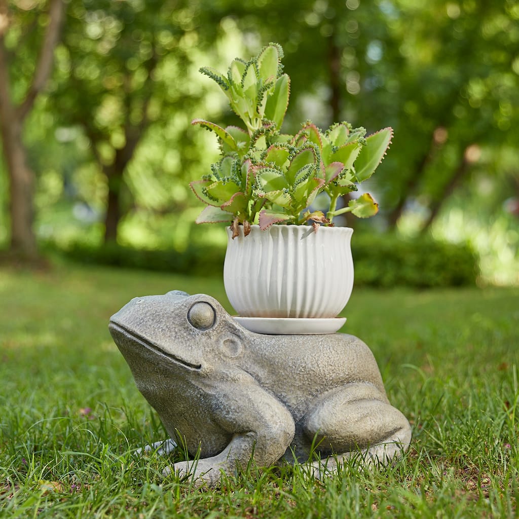 Glitzhome MGO Snail Frog Garden Statue Indoor Outdoor Art Figurine Planter Stand