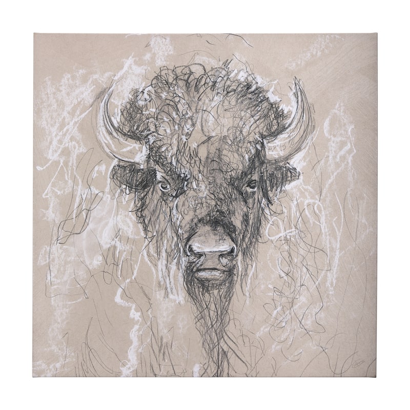 Sketch of Animal IX (Bison) (44 x 44) Canvas Art Print - Large