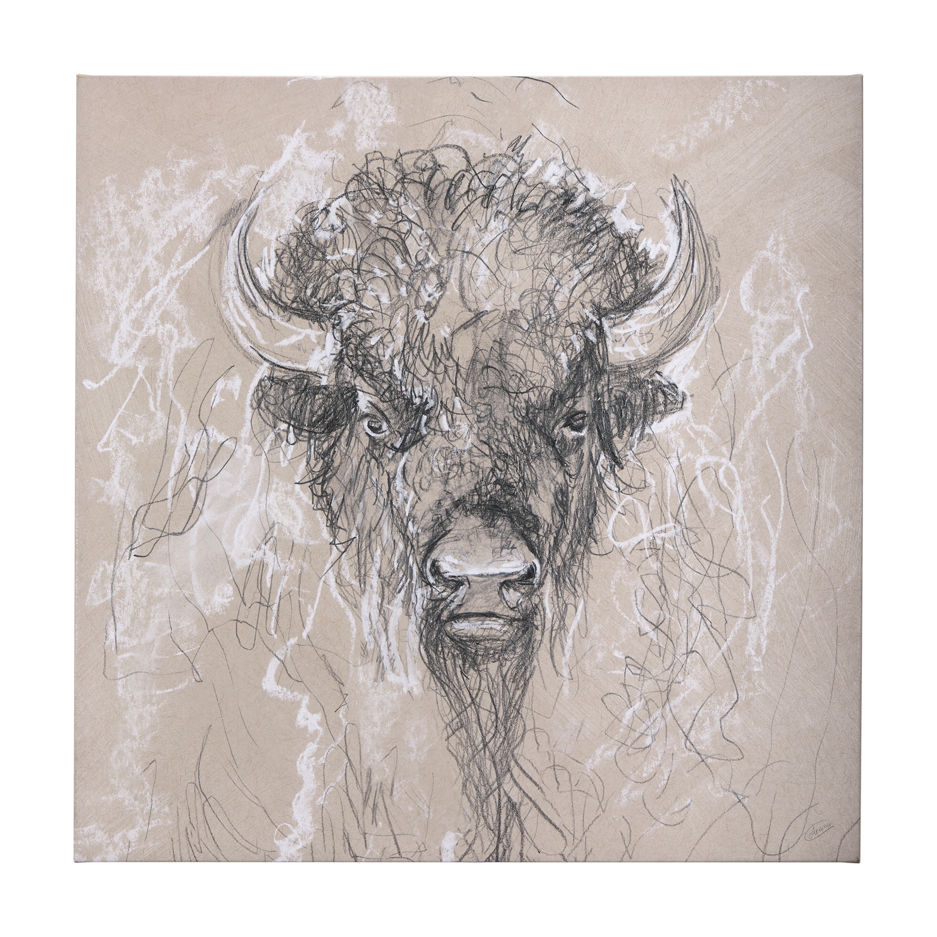 Sketch of Animal IX (Bison) (44 x 44) Canvas Art Print