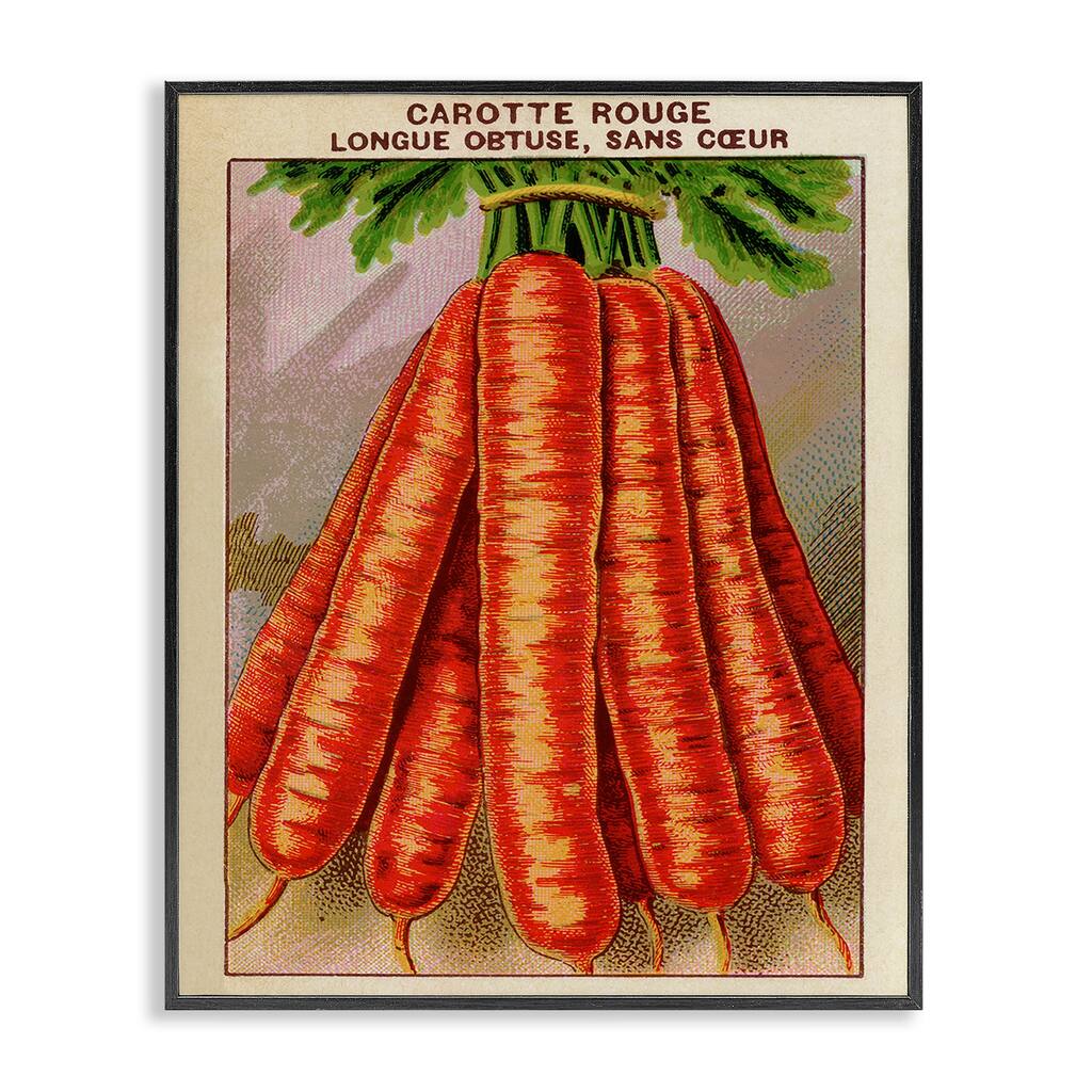 Stupell Country Vintage Carrots Framed Giclee Art Design By Lil' Rue