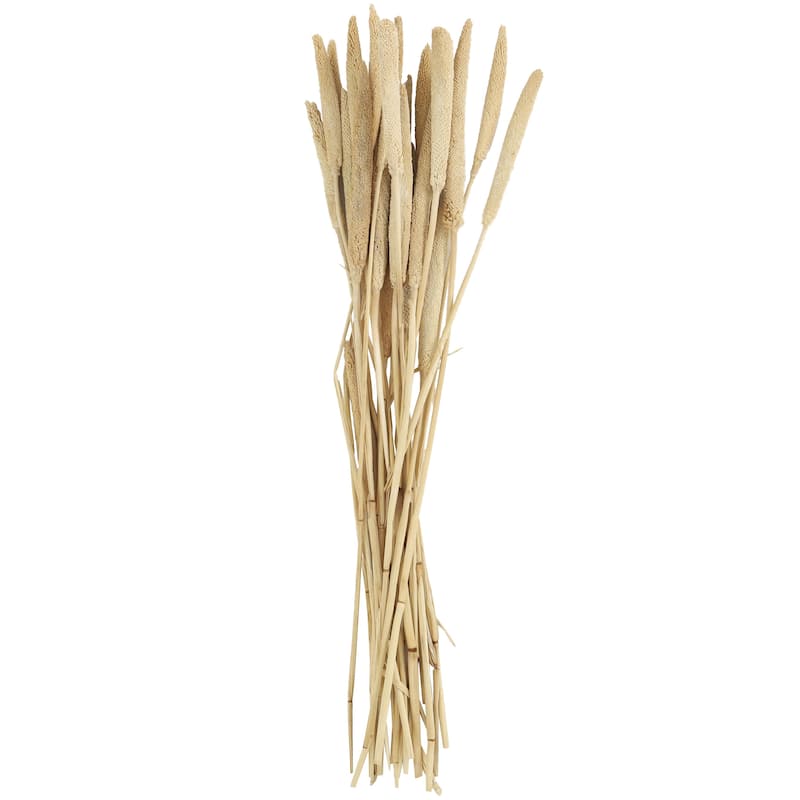 Dried Plant Bunny Tail Home Decor Natural Foliage - White, Red, Dark Brown, Orange, Green, Pink, Yellow - Roche River Decor