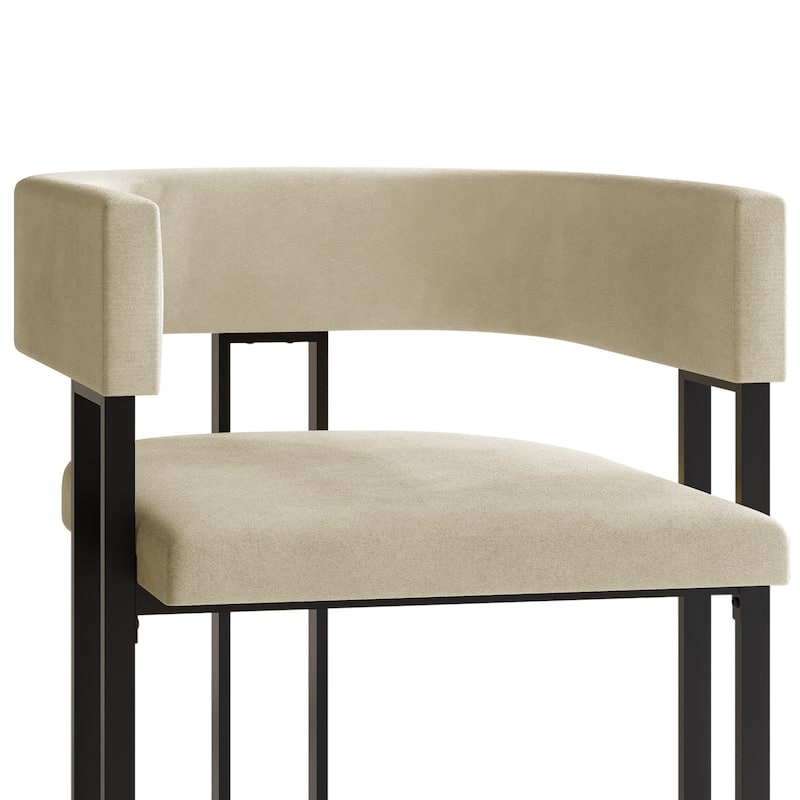 CraftPorch 2 Pieces Contemporary Dining Chair Set