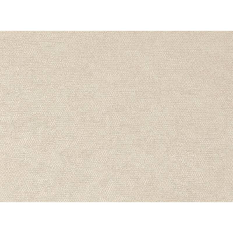 NADAAL STUDIOS Lyra Dining Chair, Barrel-Style Back, Iron Frame, Warm Beige Upholstery - Set of 2