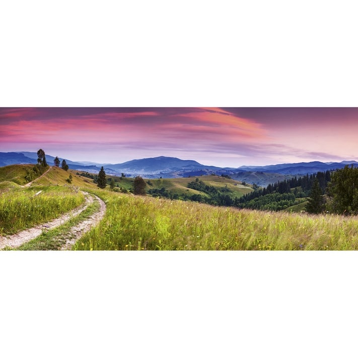 Dimex Blooming Hills Wall Mural - 59in x 147.6in x 0.025in
