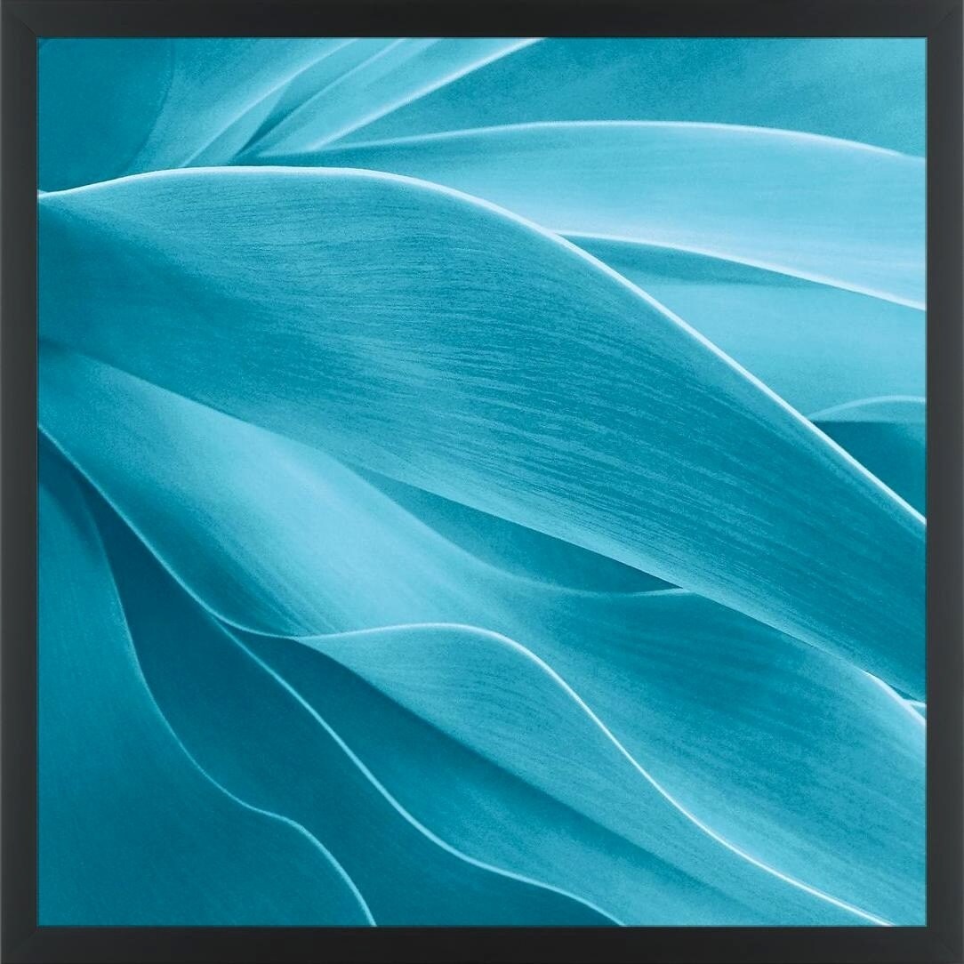 Shop Easy Art Prints Jan Bell S Succulent Premium Canvas Art