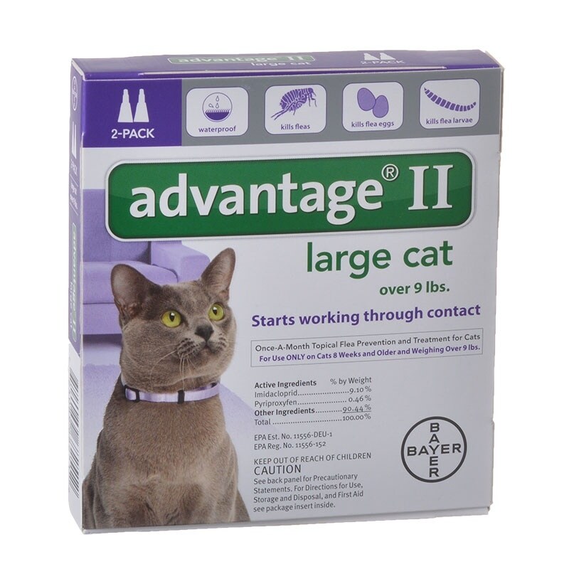 Shop Advantage Flea Control For Cats And Kittens Over 9 Lbs 2