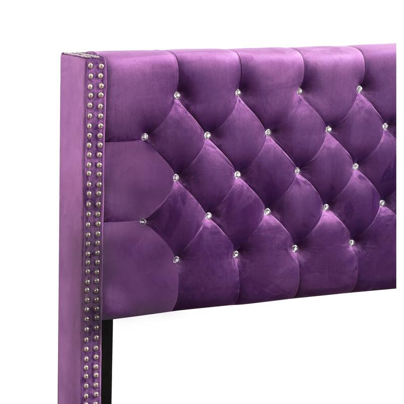 Queen Size Velvet Platform Bed with Foam-Padded Headboard and Transitional Design