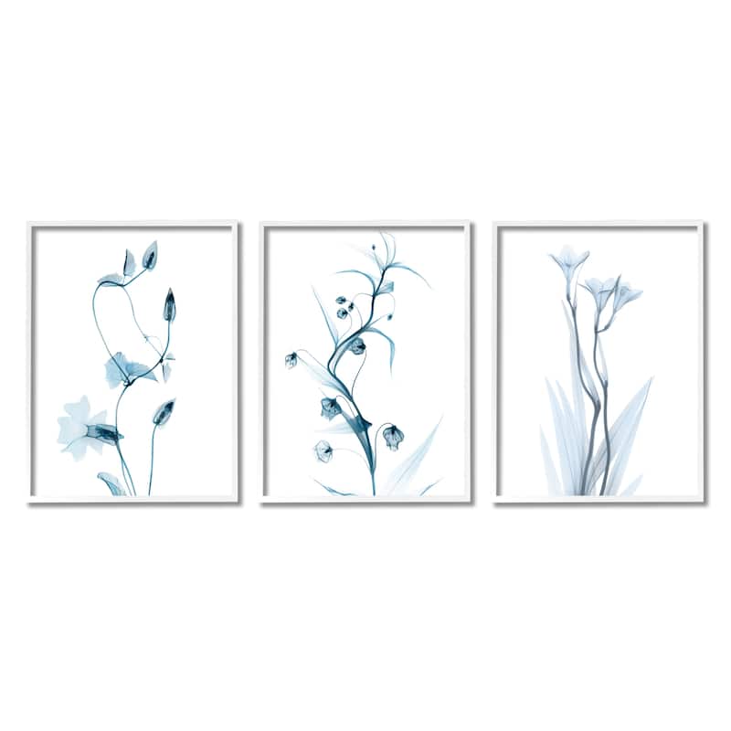 Stupell Aesthetic Minimalist Blue Botanical Floral Design Framed 3 Piece Wall Art - White - 16 x 20 - White