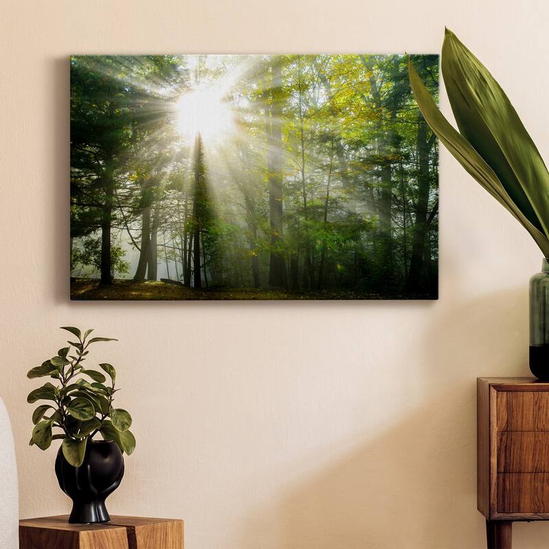 Light and Trees II Premium Gallery Wrapped Canvas - Ready to Hang