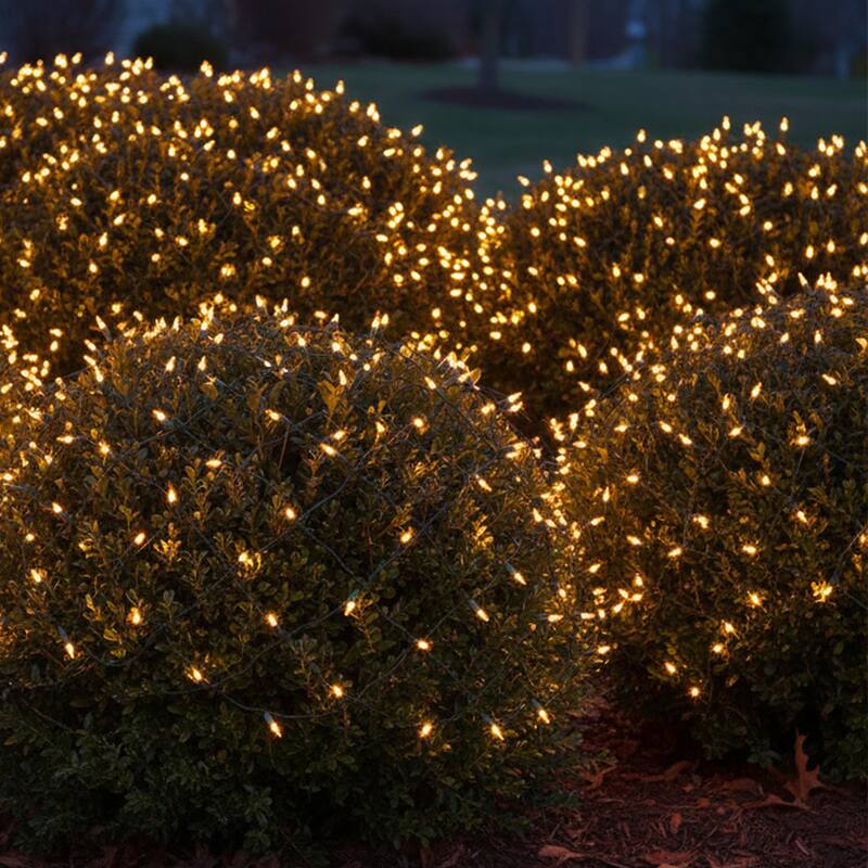 Mini Net Style Christmas Lights - 4' x 6' - Clear - Green Wire