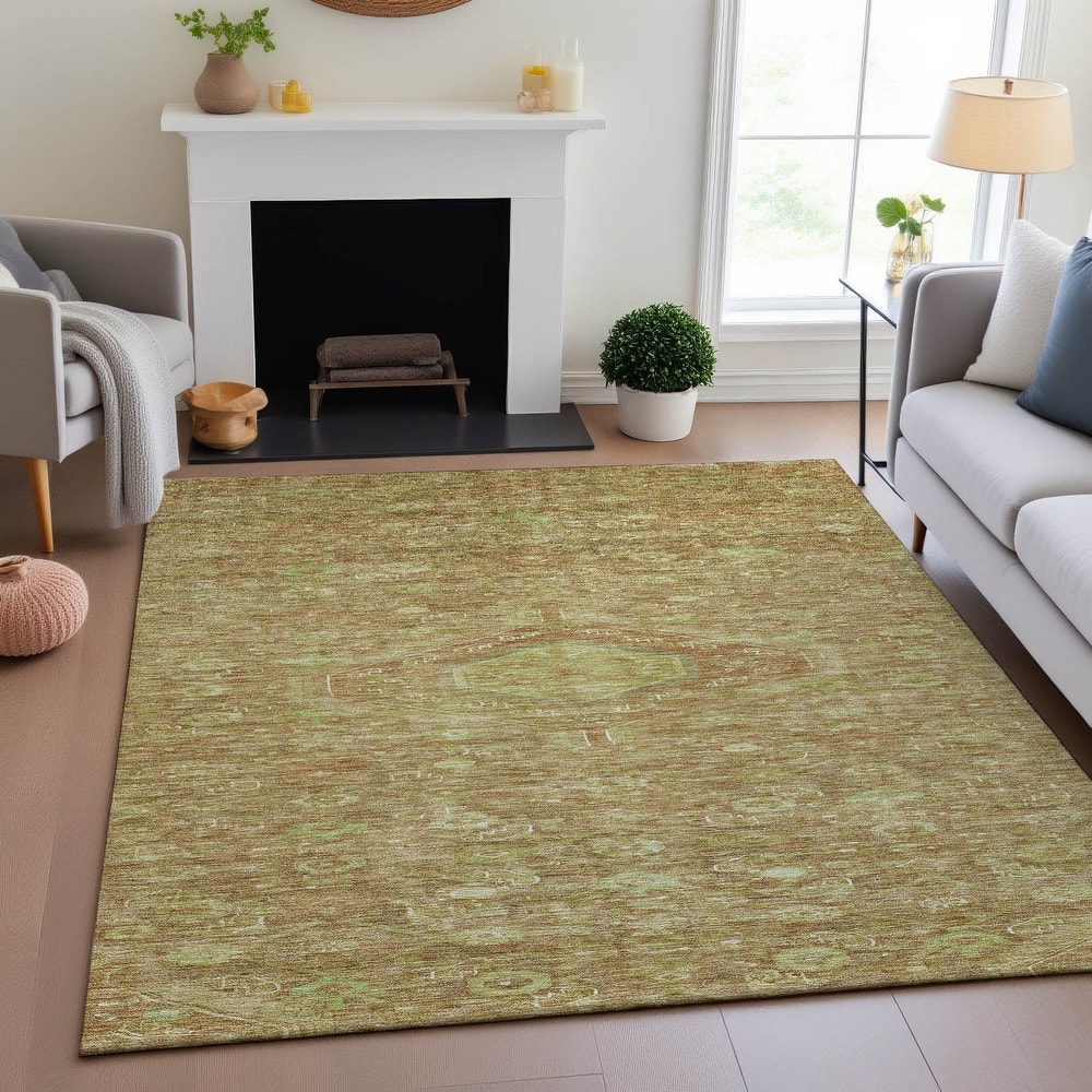 Premium Washable Super Soft Traditional Global Mayfield Rug