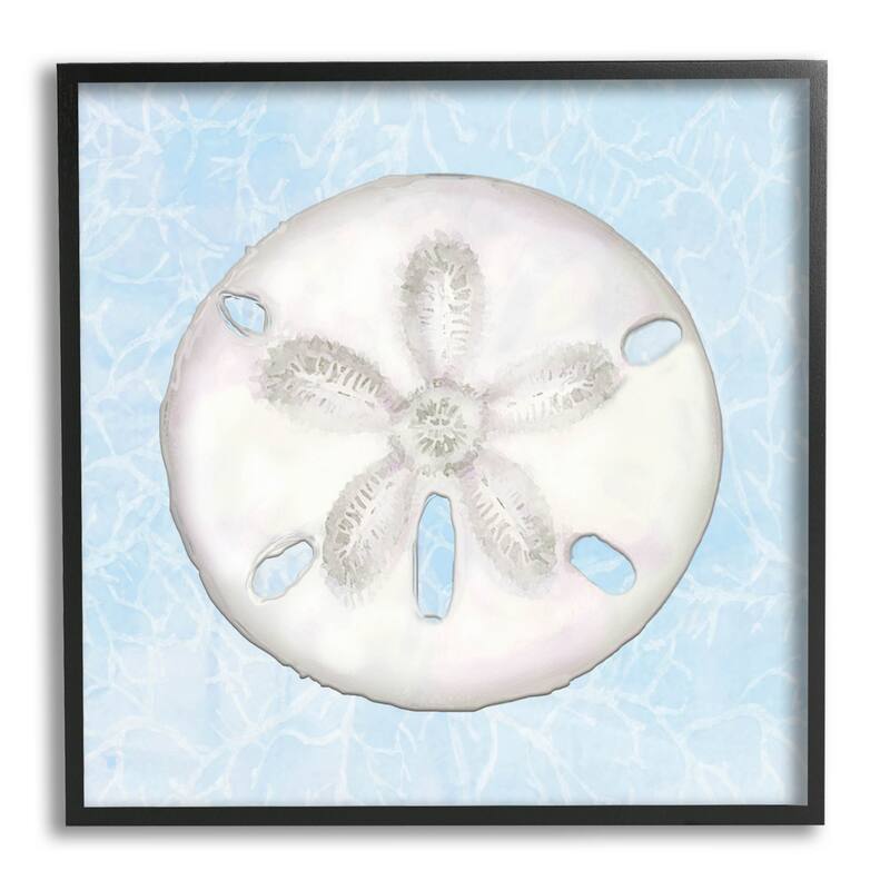 Stupell Sand Dollar Aquatic Waves Pattern Framed Giclee Art by Diannart - 24 x 24 - Black