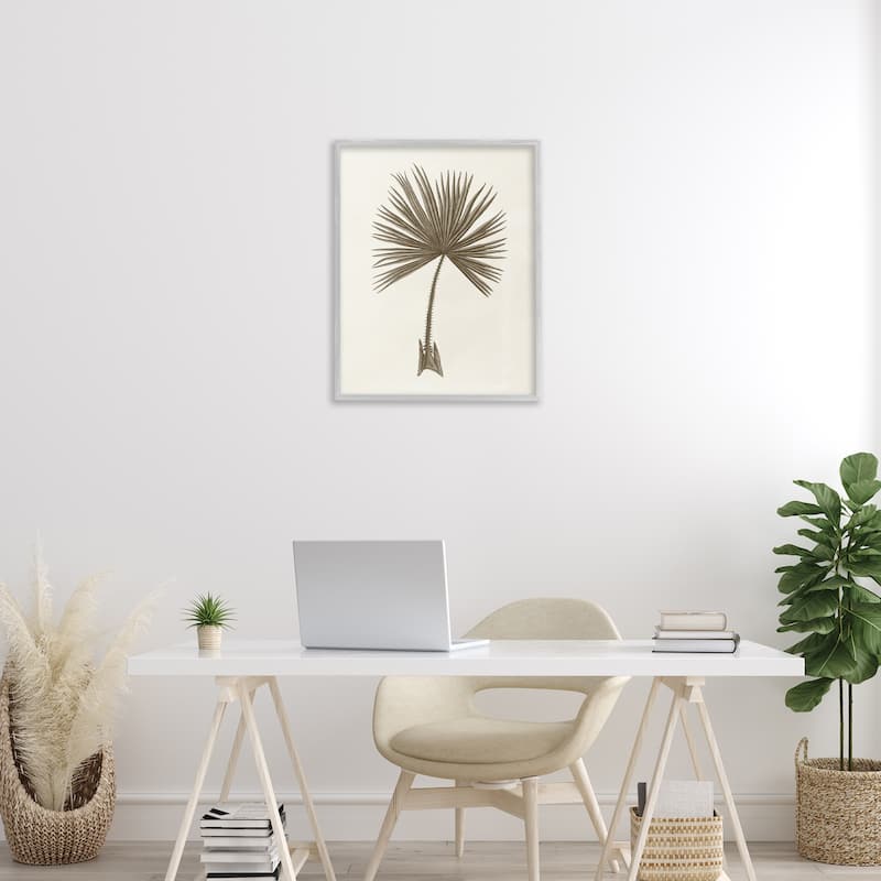 Stupell Vintage Study of Palm Leaf Framed Giclee Art Design By Phillipa Katz