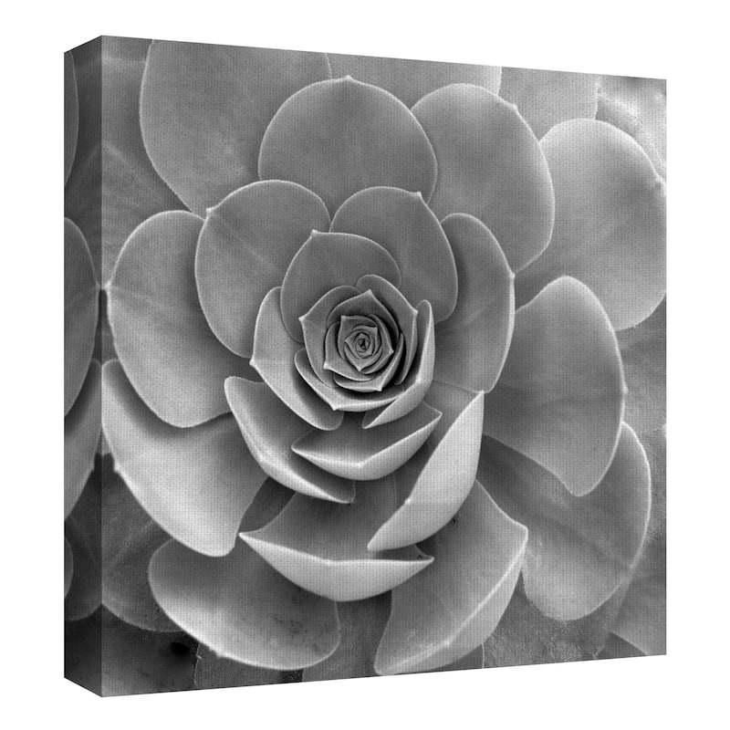 Floral #22 by Alan Blaustein Canvas Art Print