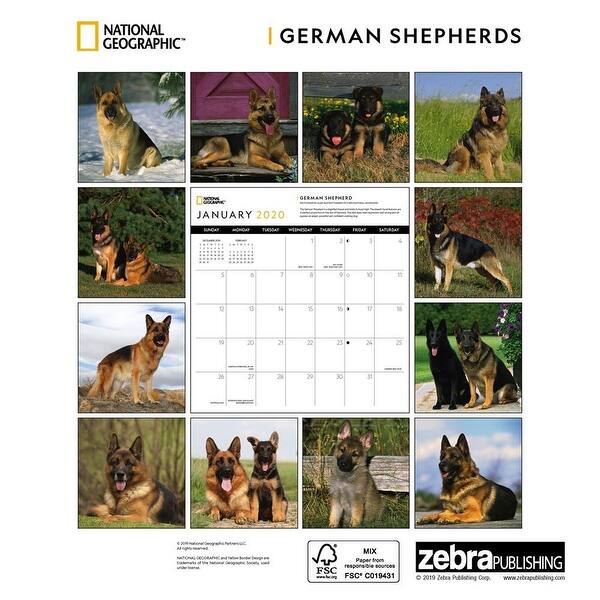 Shop Calendars German Shepherds National Geographic Wall Calendar