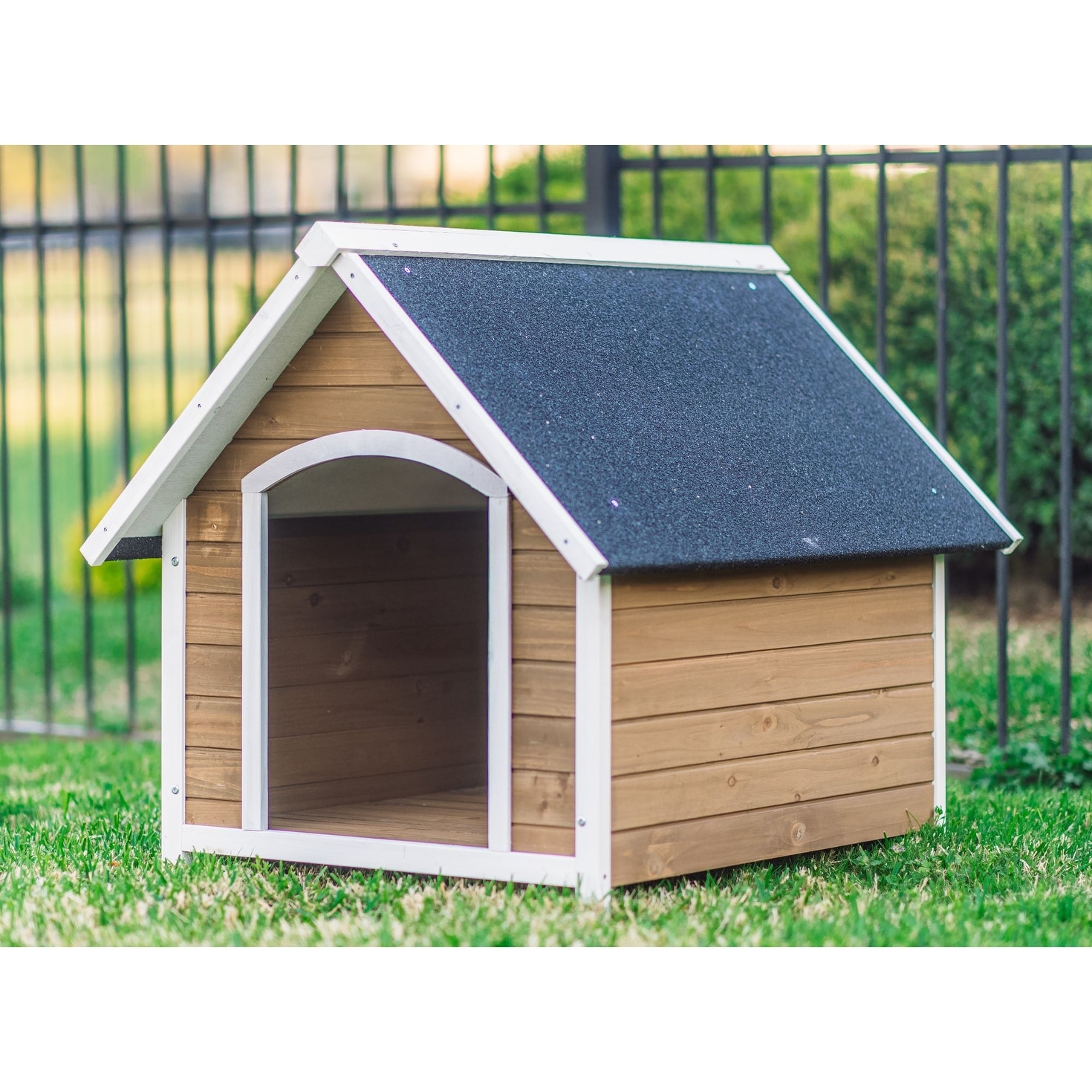 Country dog sale house