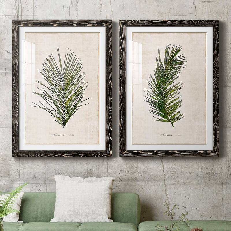 Palm Botanical I-Premium Framed Print - Ready to Hang