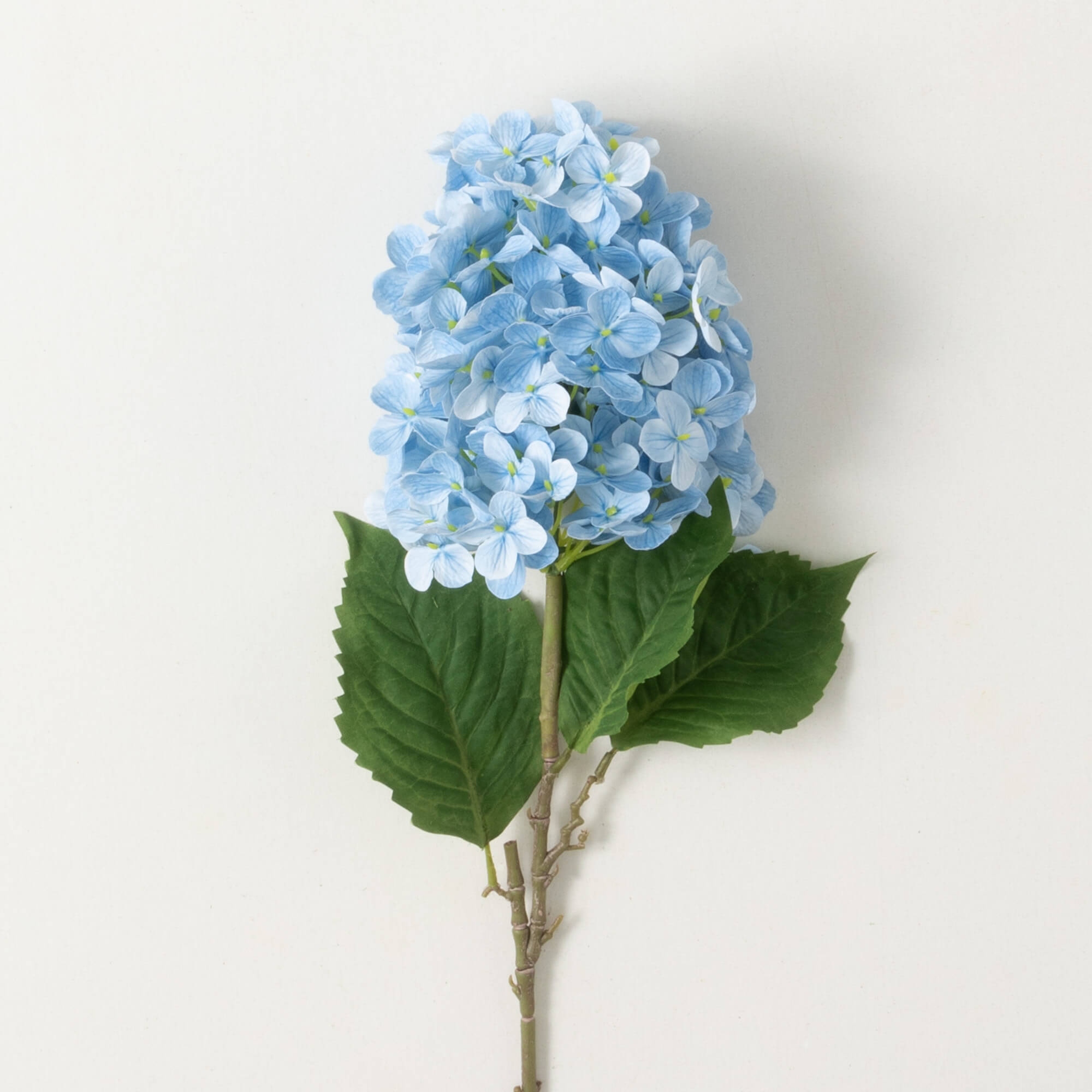 Hydrangea4937　0602 Blue Hydrangea - TF129-1 ($69.26)