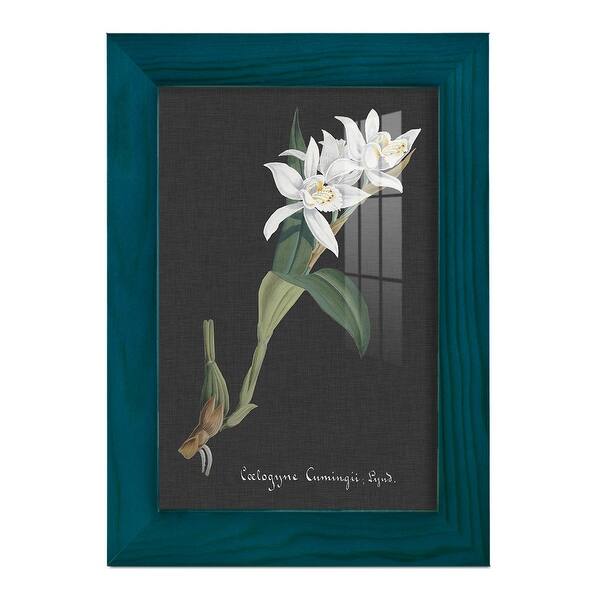 slide 2 of 120, Orchid on Slate III -Framed Print w/glass-Cherry Red 4x6 - Blue