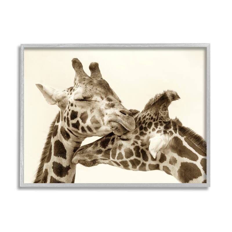 Stupell Sweet Cuddling Giraffes Sepia Wildlife Photography Portrait Framed Wall Art, Design by Carrie Ann Grippo-Pike - Tan - 30 x 24 - Grey