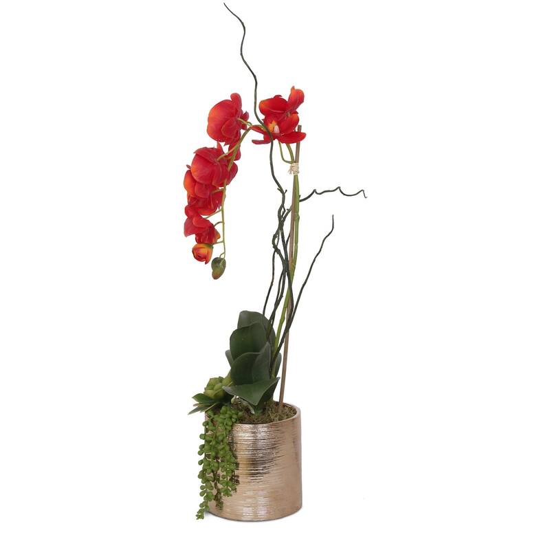 Real Touch Red Orchid Succulent Flower Arrangement in Round Gold Pot - 11W x 6D x 17H