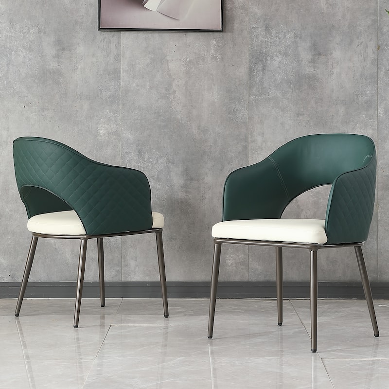 Dining Chairs Set of 2