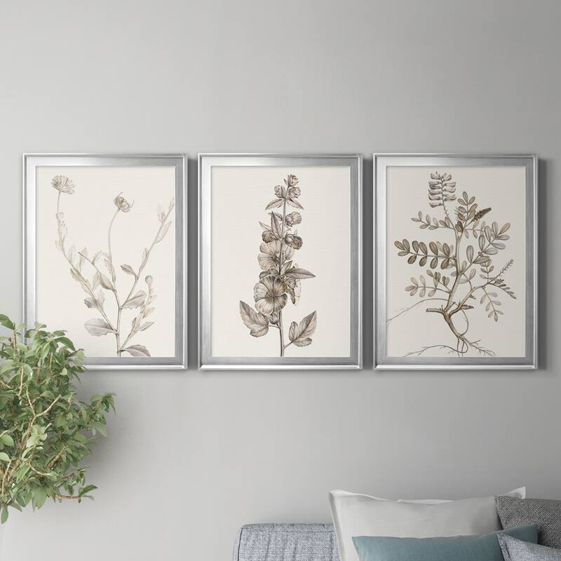 Neutral Botanical Study IV Premium Framed Canvas - Ready to Hang - Multi-Color