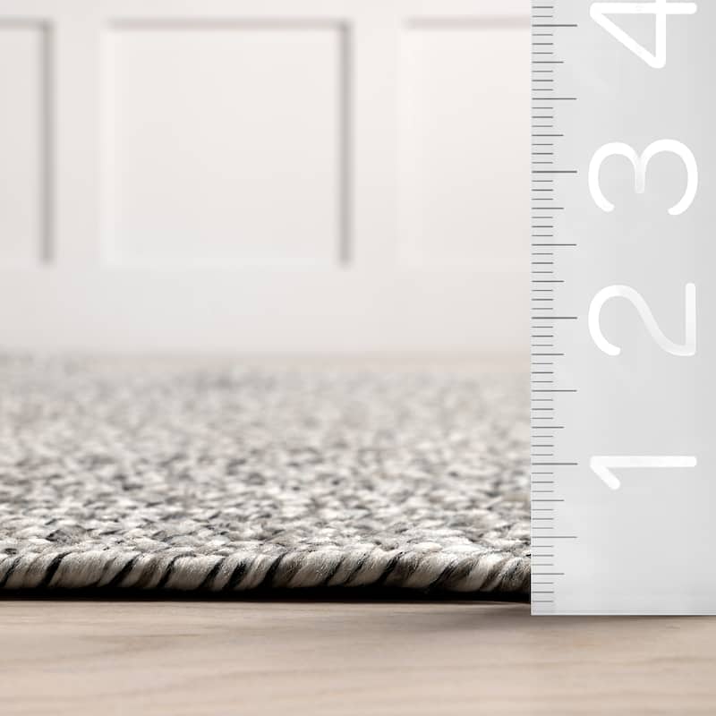 Nuloom Wynn Braided Indoor/Outdoor Area Rug