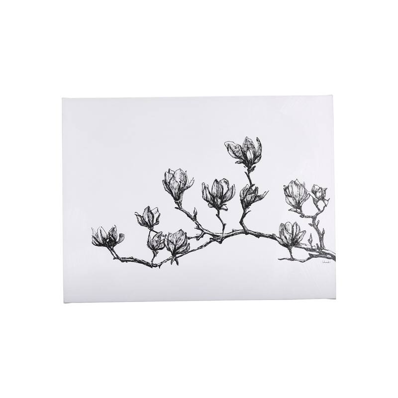 Magnolia II (40 x 30) Canvas Art Print - Small