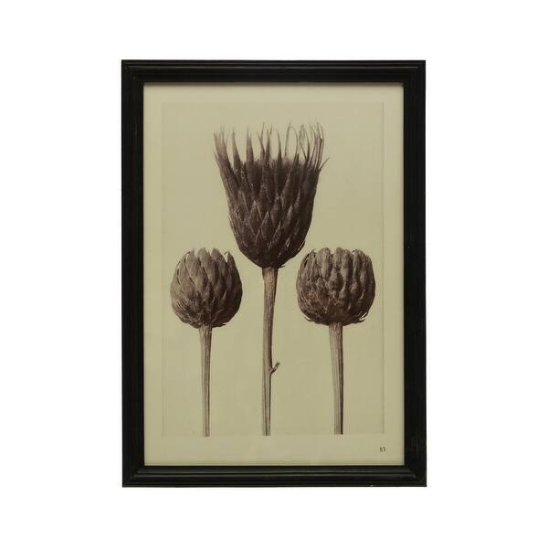slide 2 of 2, Wood Framed Artichoke Print with Glass Cover Wood - 15.8"L x 0.8"W x 22.0"H - Black