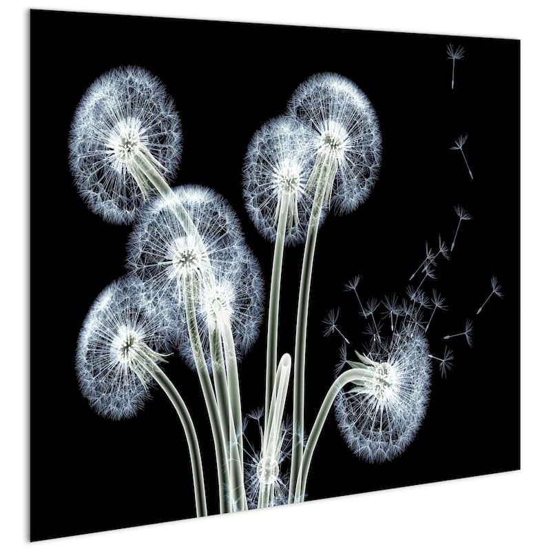 "Dancing Dandelions" Wall Art Printed on Tempered Glass