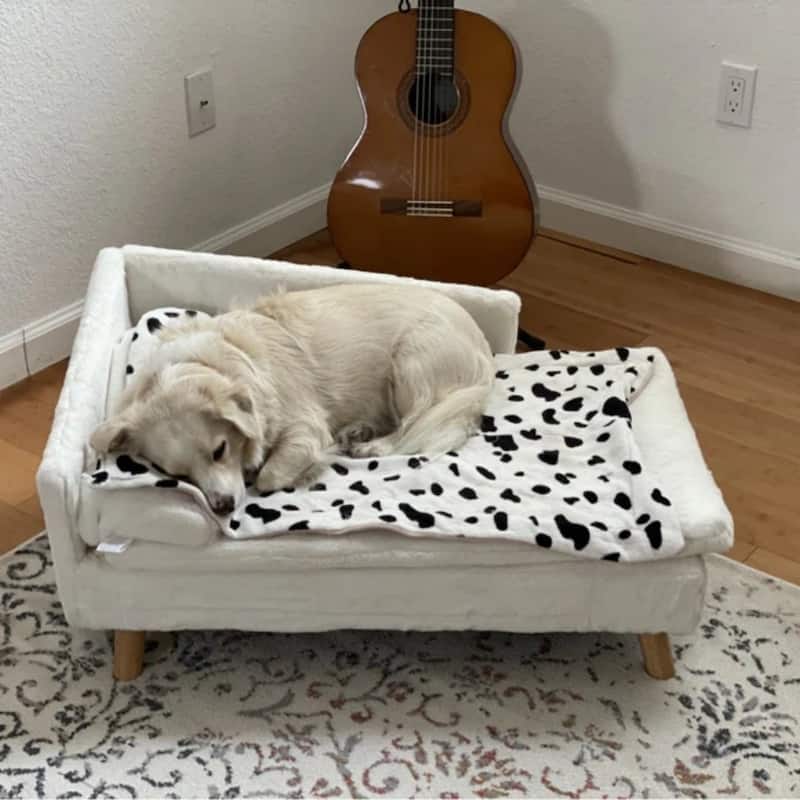 Waterproof L Shape Dog Sofa Bed Cat Chaise Elevated Pet Cushion Lounger with Pillow
