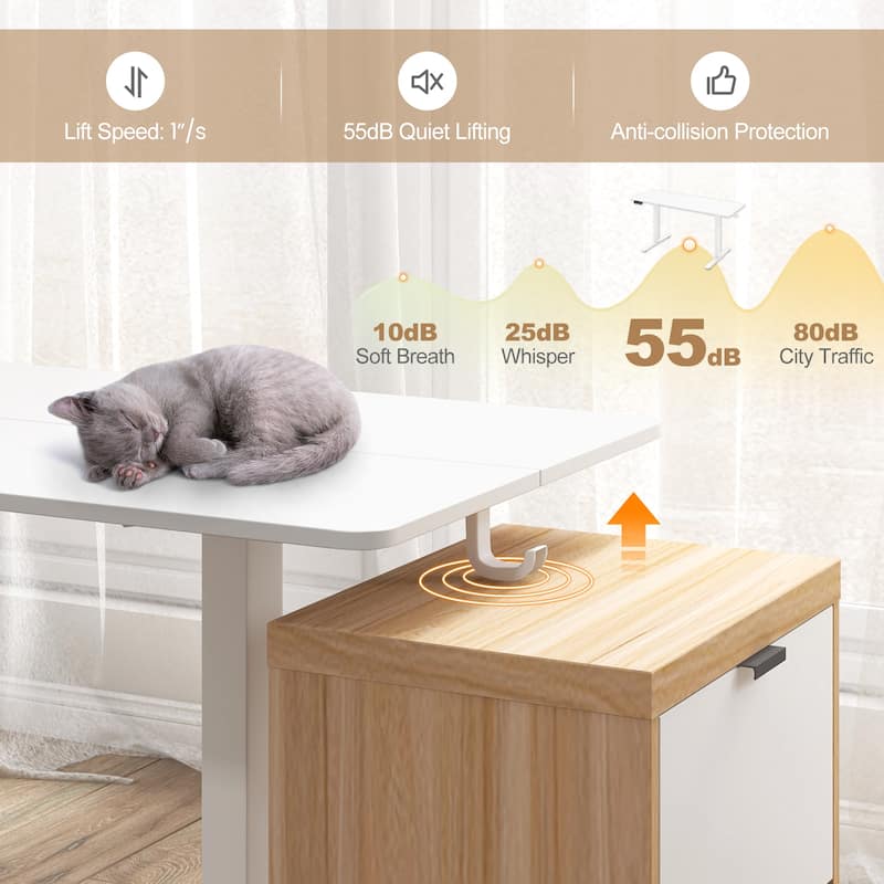 Electric Standing Desk with Memory Heights and Cable Management