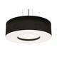 Option Black / Satin Nickel