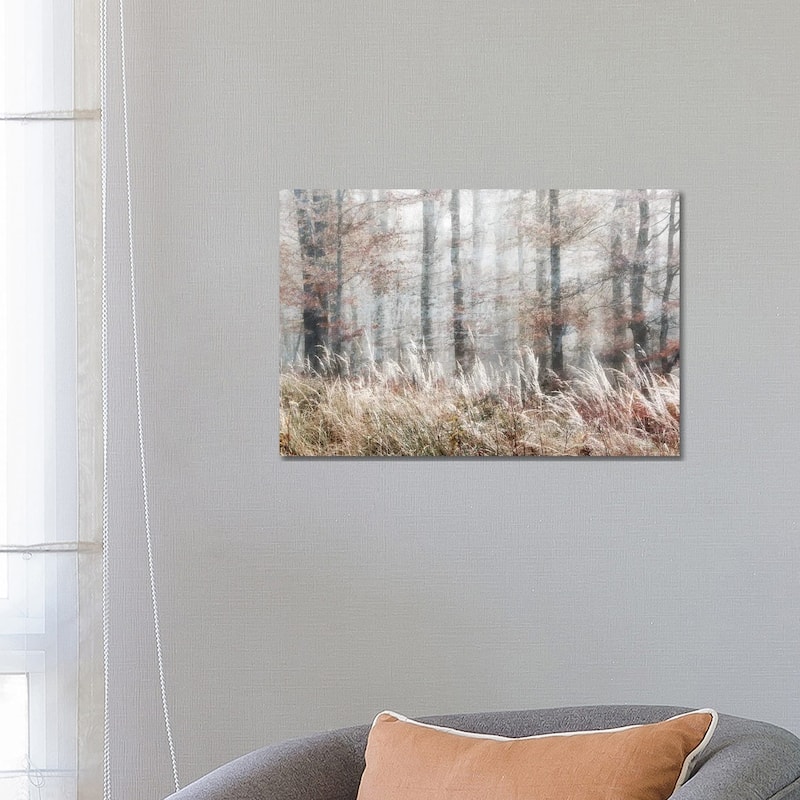 iCanvas "Always Magic In The Woods" by Irene Weisz Canvas Print - 18x26x1.5