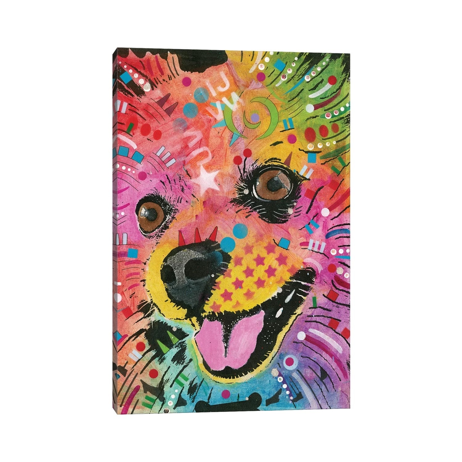 iCanvas "Pomeranian" by Dean Russo Canvas Print