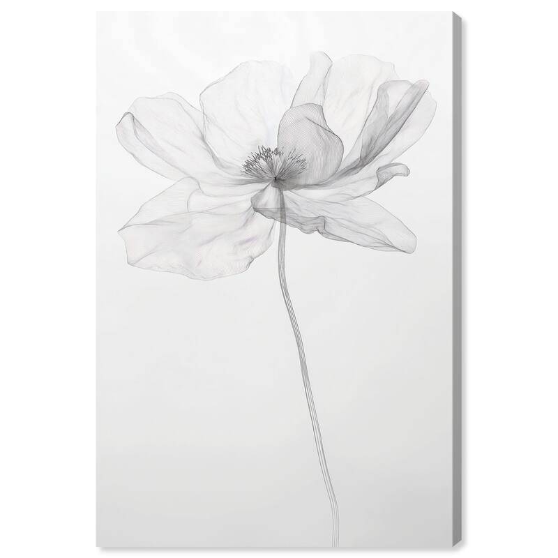 Fragile Beauty I Canvas by Art Remedy, Gallery Wrapped - 36" x 54"