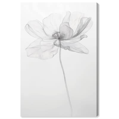 Fragile Beauty I Canvas by Art Remedy, Gallery Wrapped