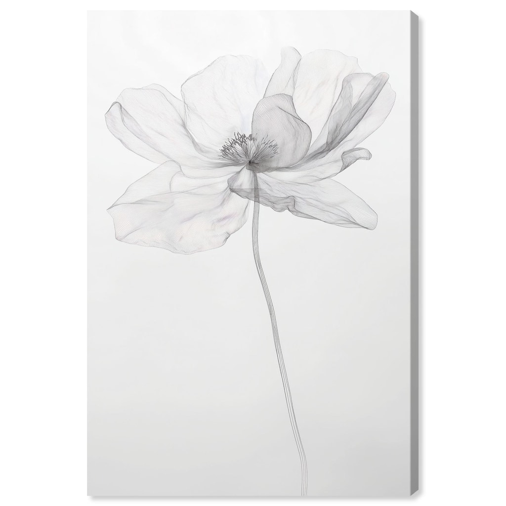 Fragile Beauty I Canvas by Art Remedy, Gallery Wrapped