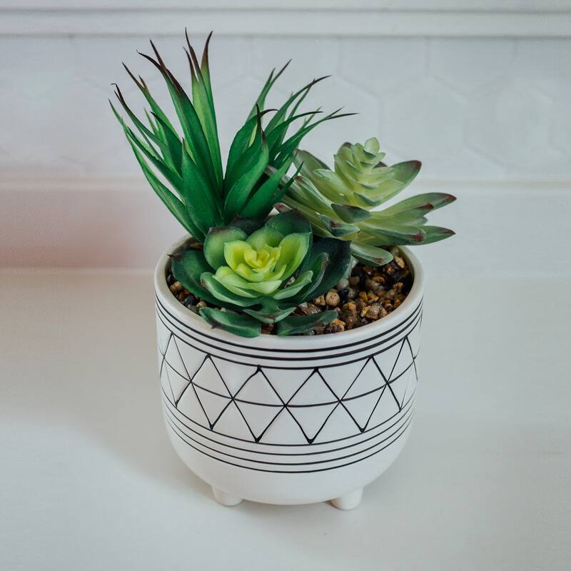 Artificial Plant Succulent in 5" GEO CERAMIC Footed Pot - ONE-SIZE