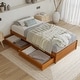 preview thumbnail 19 of 190, Barcelona Panel Platform Bed with Storage Drawers