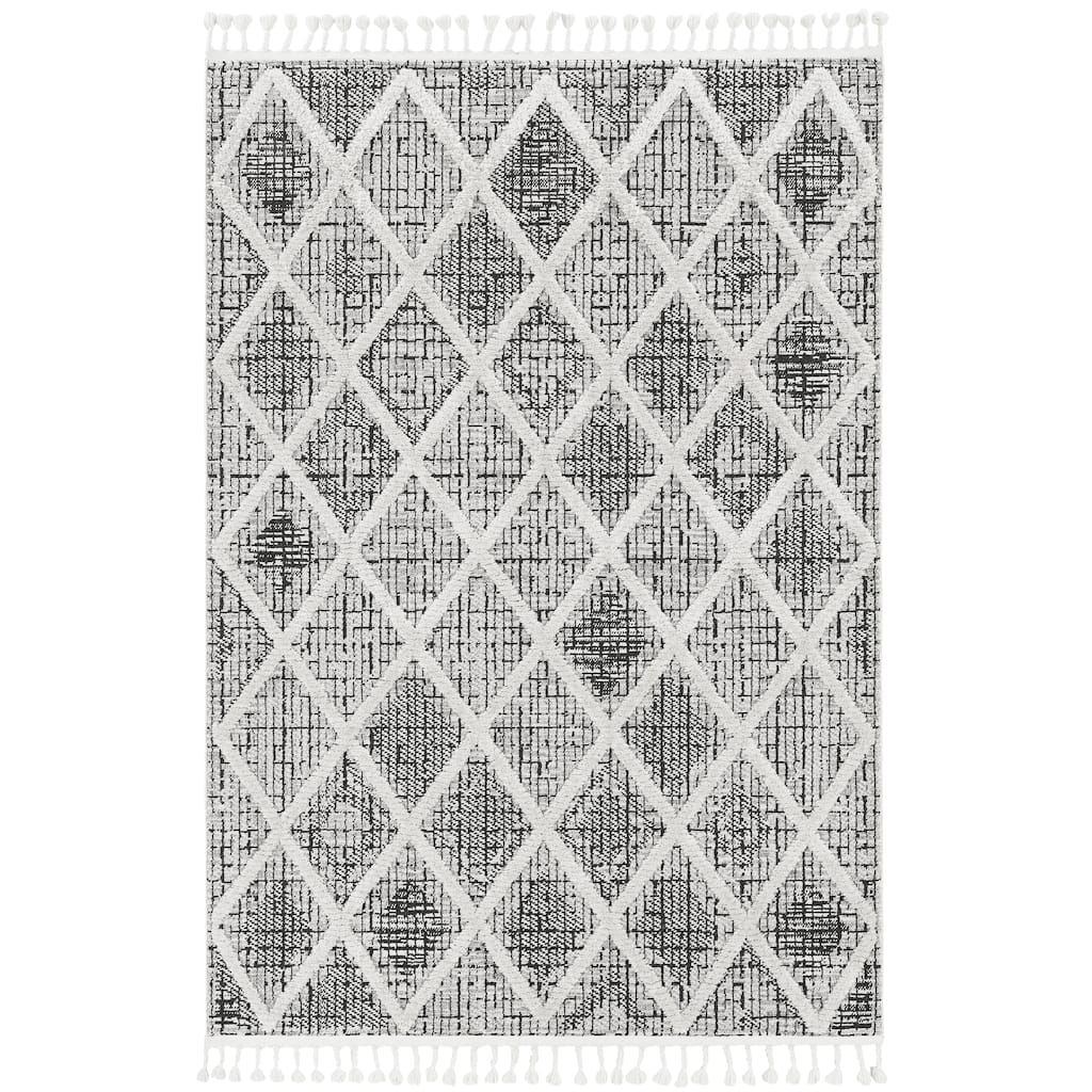 Carbon Loft Kanani Textured Distressed Morrocan Boho Rug with Fringe