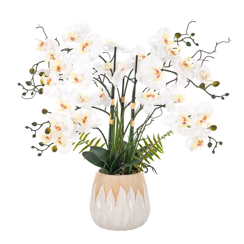 7 Stems Real Touch Phalaenopsis Plastic Orchids with Green Leaf in White Ceramic Pot - 32.28" H x 26.77" W x 26.77" D
