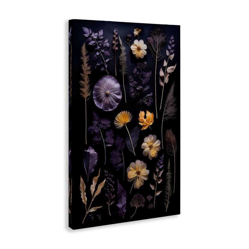 Stupell Flower Specimens on Black Canvas Wall Art Design By Heidi Kuntz