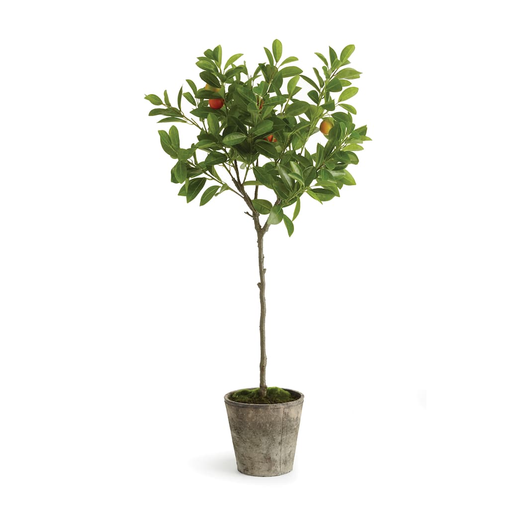 41" Orange Potted Topiary - 41 in