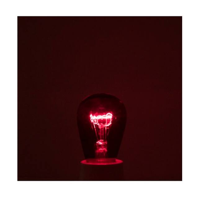 Bulbrite Pack of (25) 11 Watt Dimmable S14 Incandescent Light Bulbs with Medium (E26) Base
