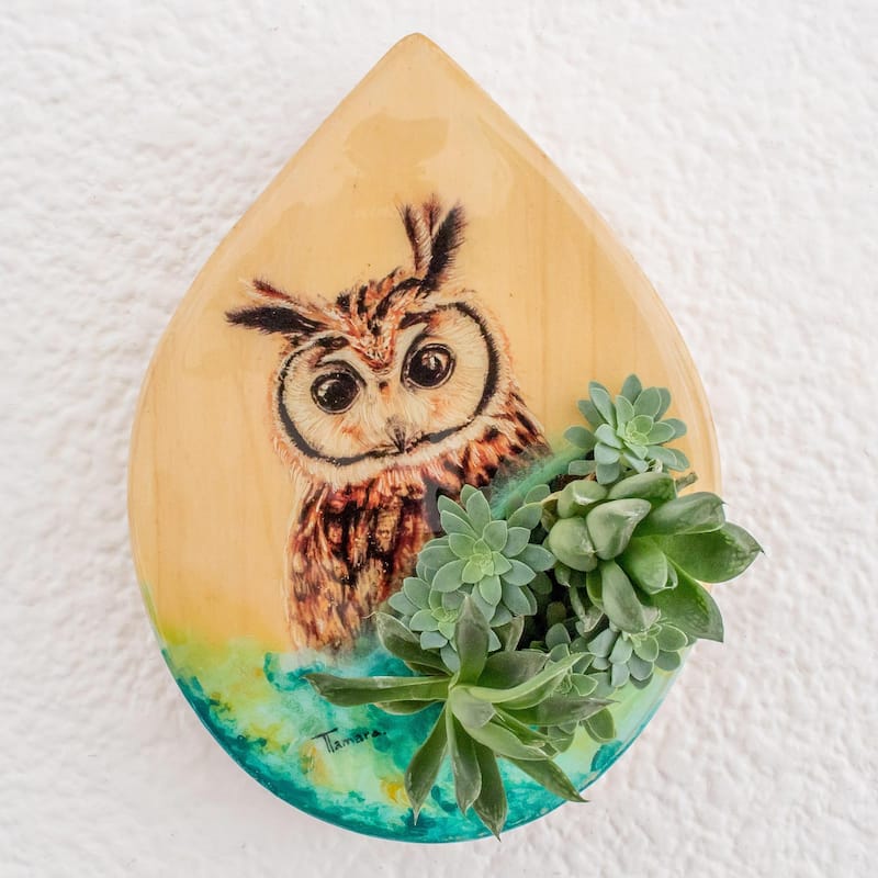 Novica Handmade Owl Nature Wood Wall-Mounted Planter