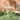 SAFAVIEH Kensi Iron Outdoor Bird Bath. - 21 in. W x 19 in. D x 29 in. H