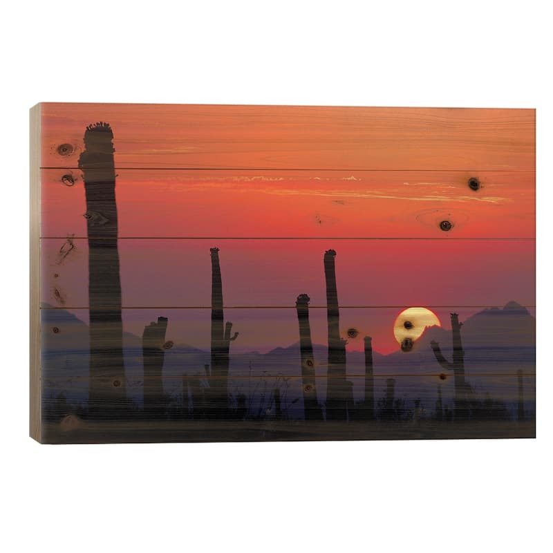 Saguaro Cacti At Sunset II, Saguaro National Park, Sonoran Desert, Arizona, USA Print On Wood by Rolf Nussbaumer - Multi-Color - 26x40x1.5